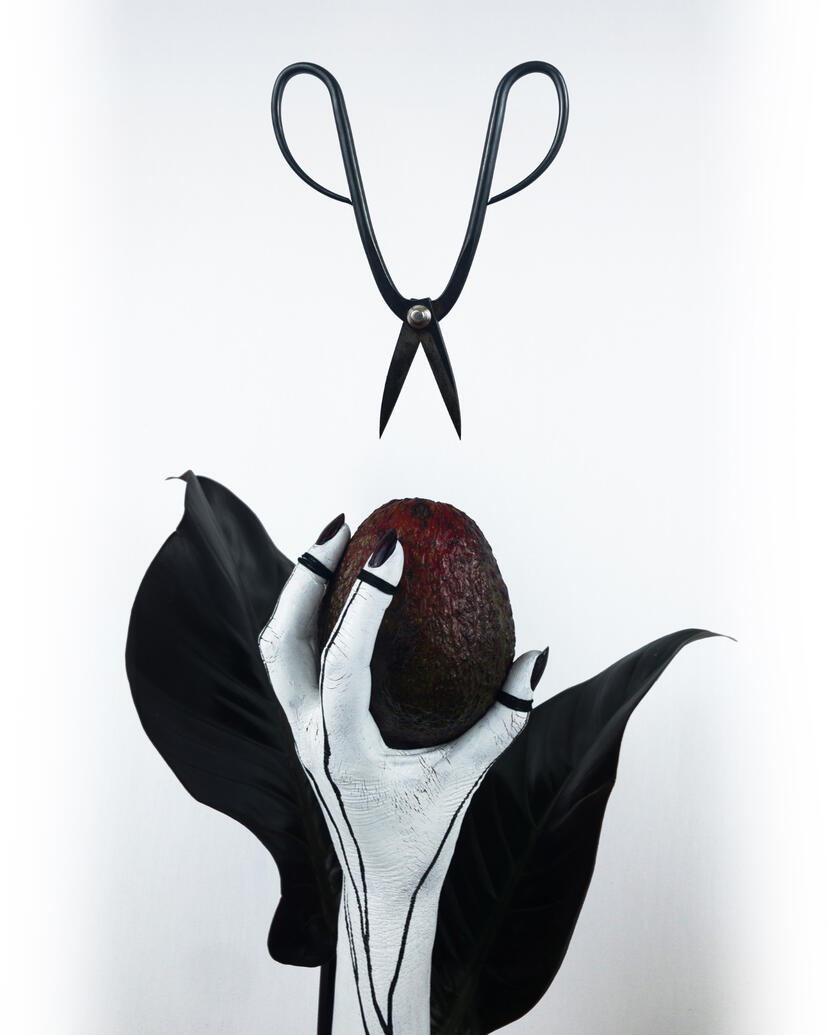 &#39;Nature’s Reliquary&#39; - Still life photography